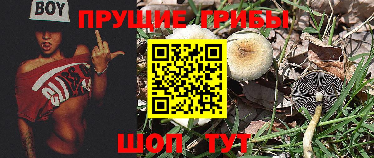 закладка  Псилоцибиновые грибы Psilocybe  Вход с VPN  Екатеринбург  Галлюциногенные грибы GOLDEN TEACHER 